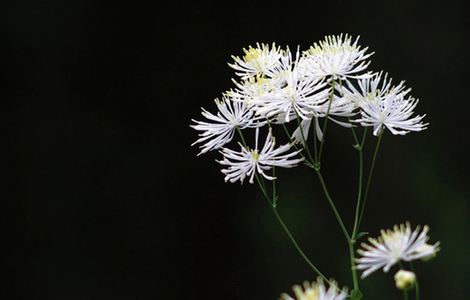 天娱文化传媒免费高清视频